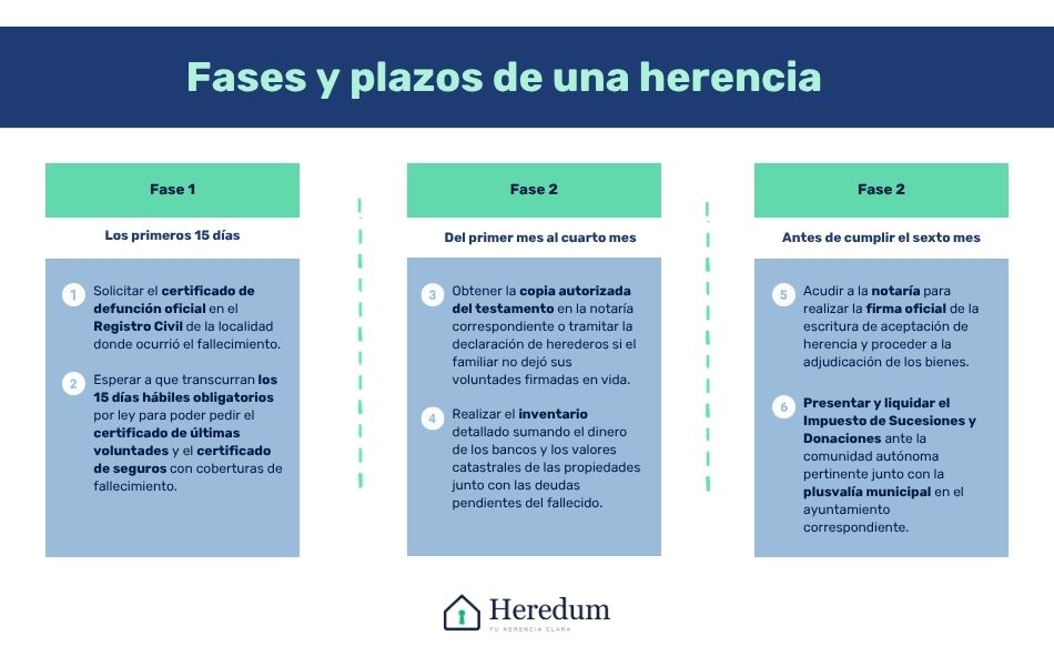 Infografía explicativa sobre los distintos plazos y fases de una herencia